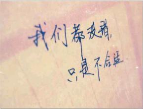 不是所有网站都适合做网站优化